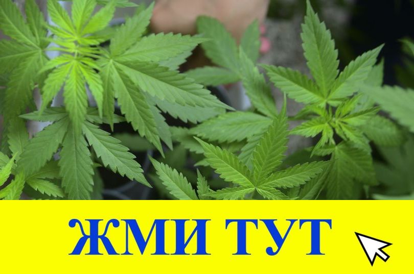 Купить наркотики в Минусинске